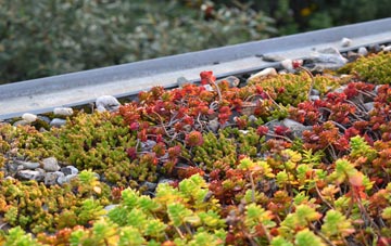 the cost of Brasted green roof installation