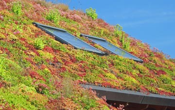 Brasted living roof systems